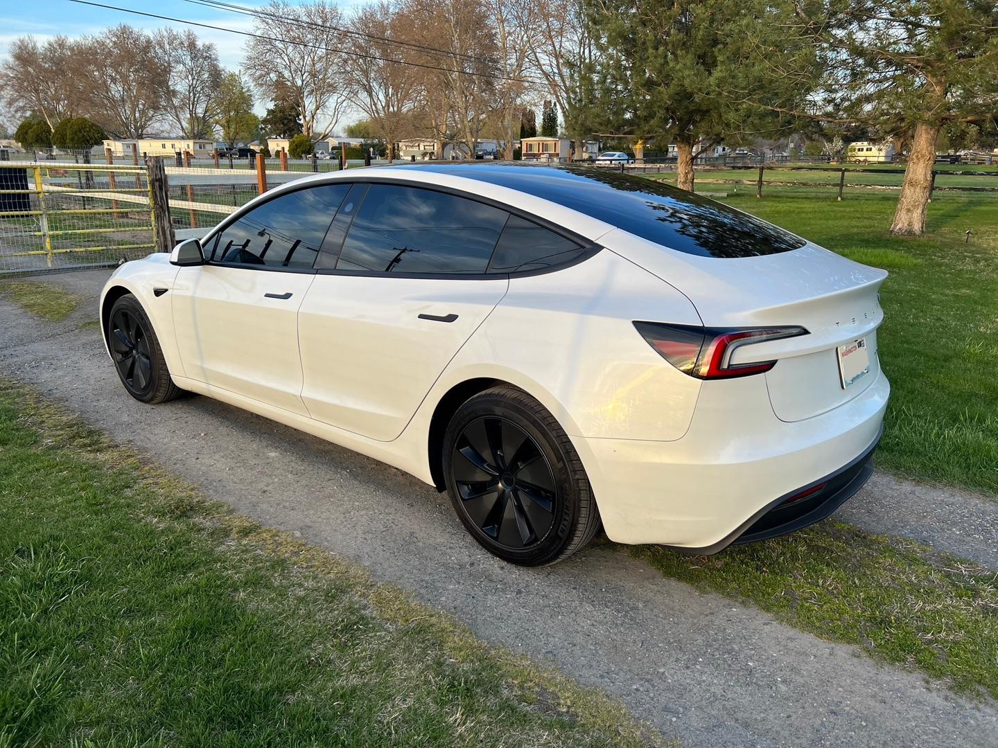 Tesla Model 3 after tint
