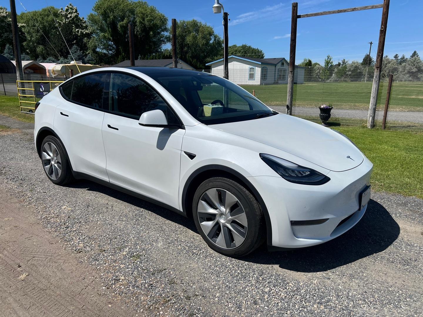 Tesla Model Y before tint