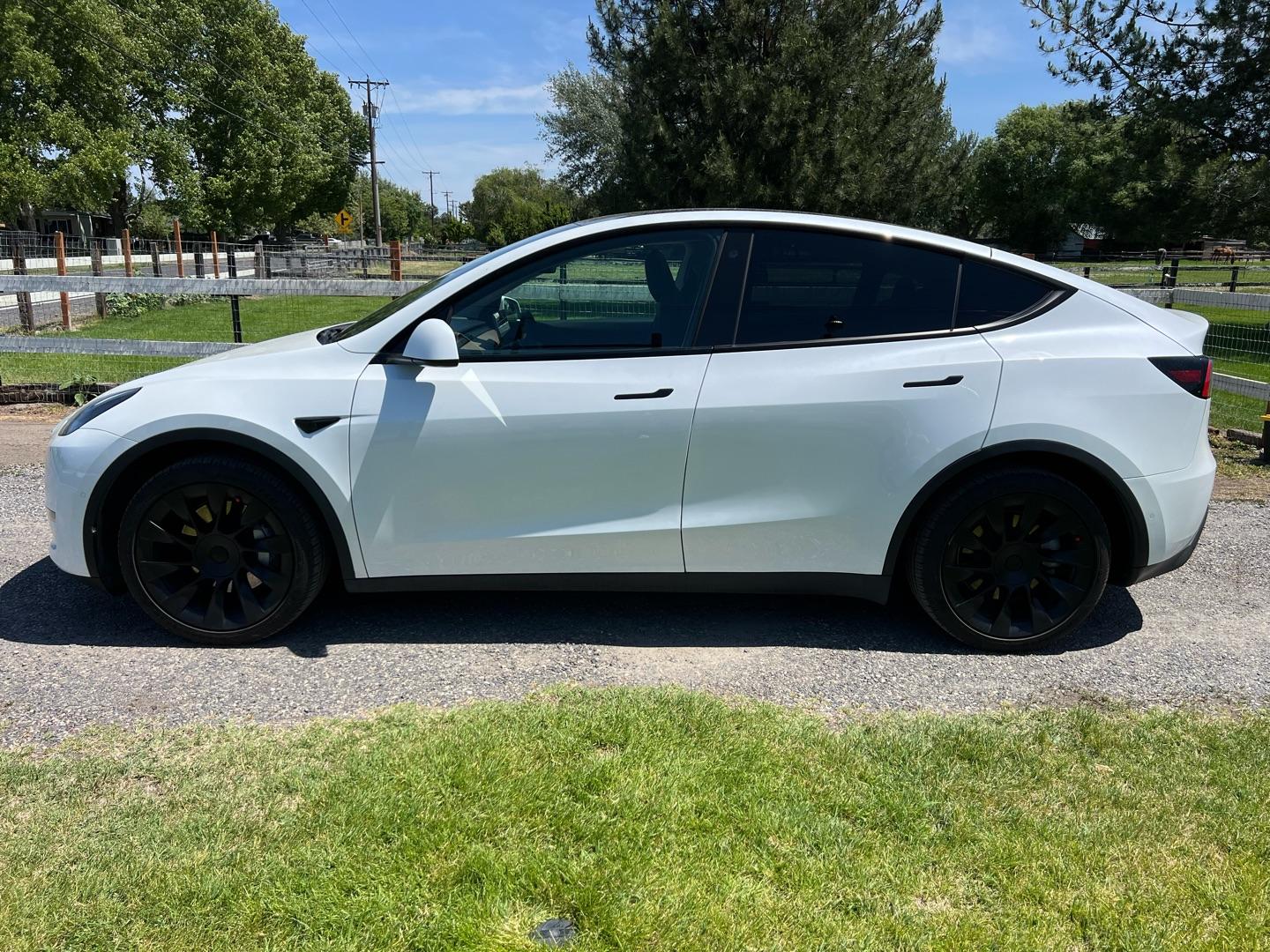 Tesla Model Y before tint