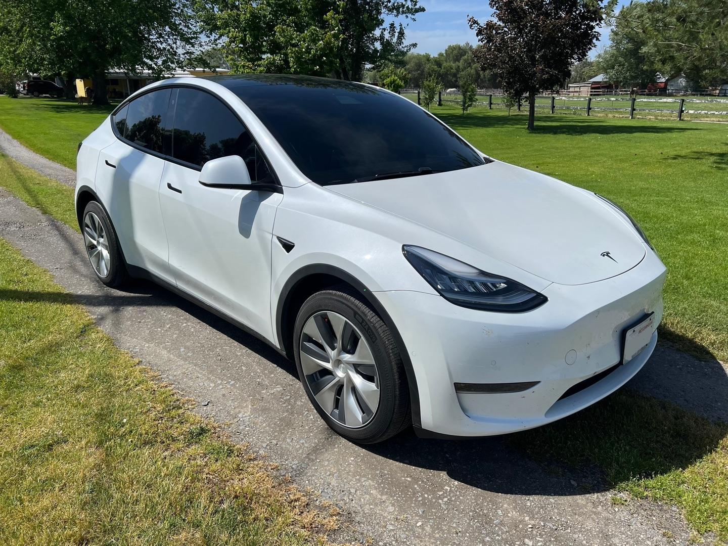 Tesla Model Y after tint
