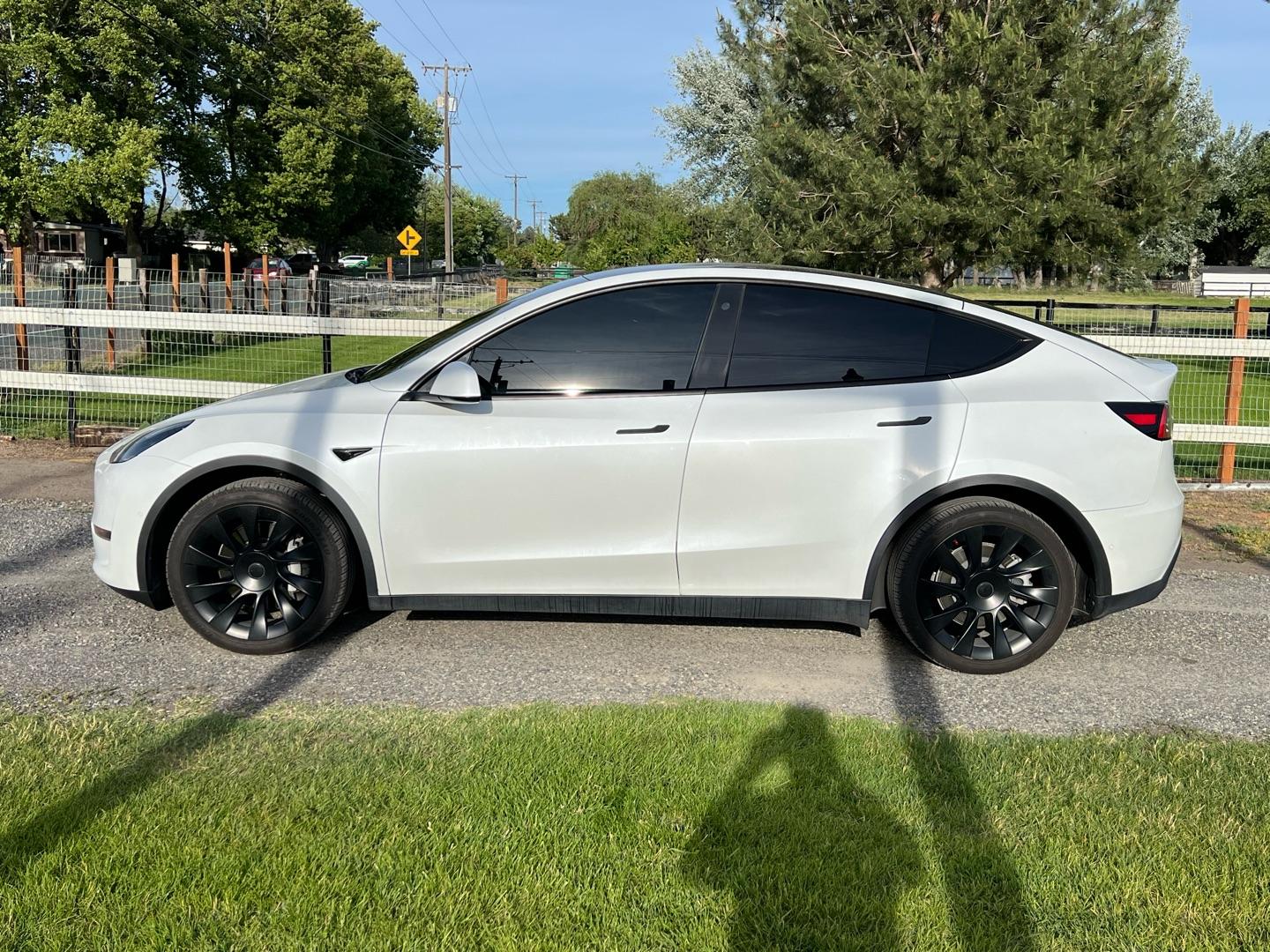 Tesla Model Y after tint